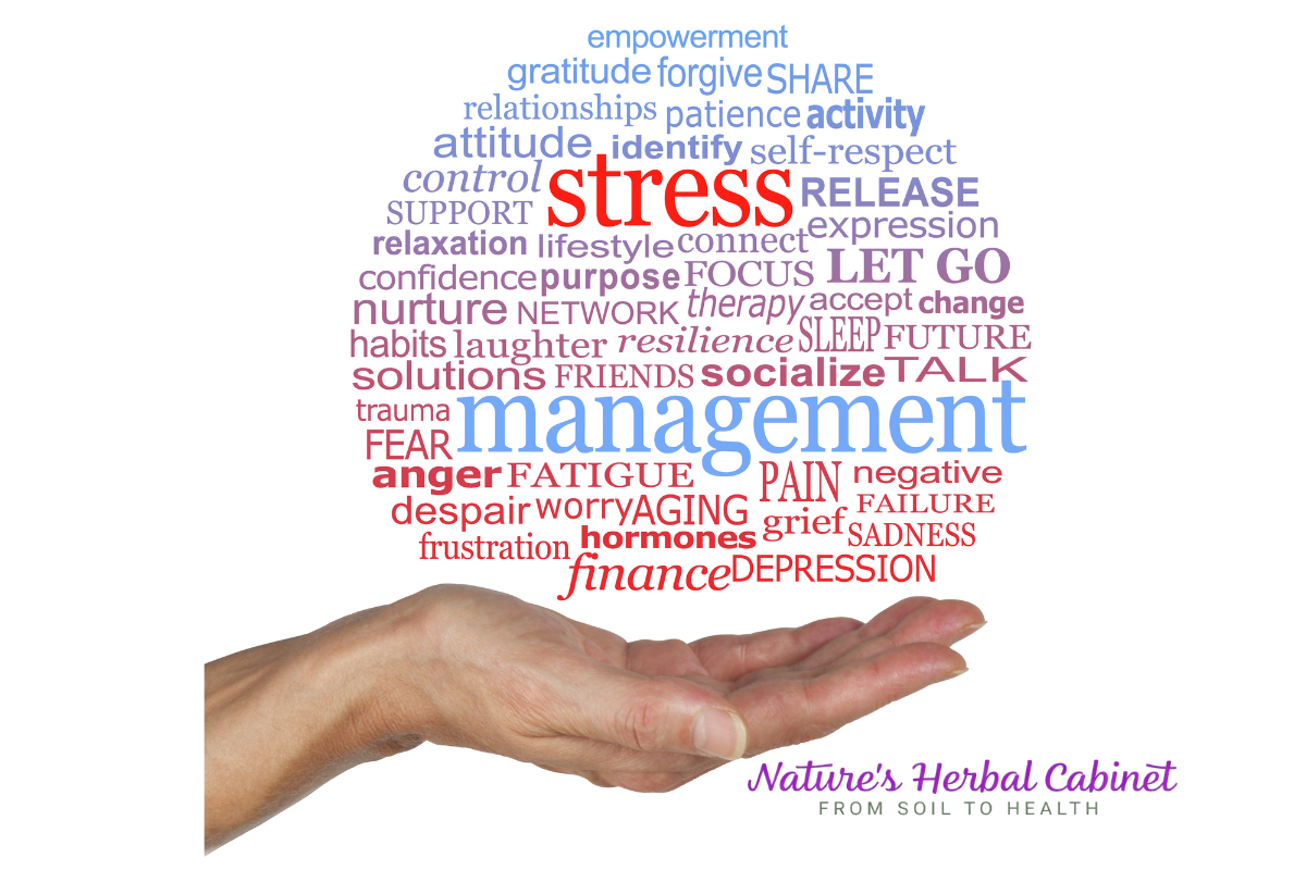 Stress & Anxiety