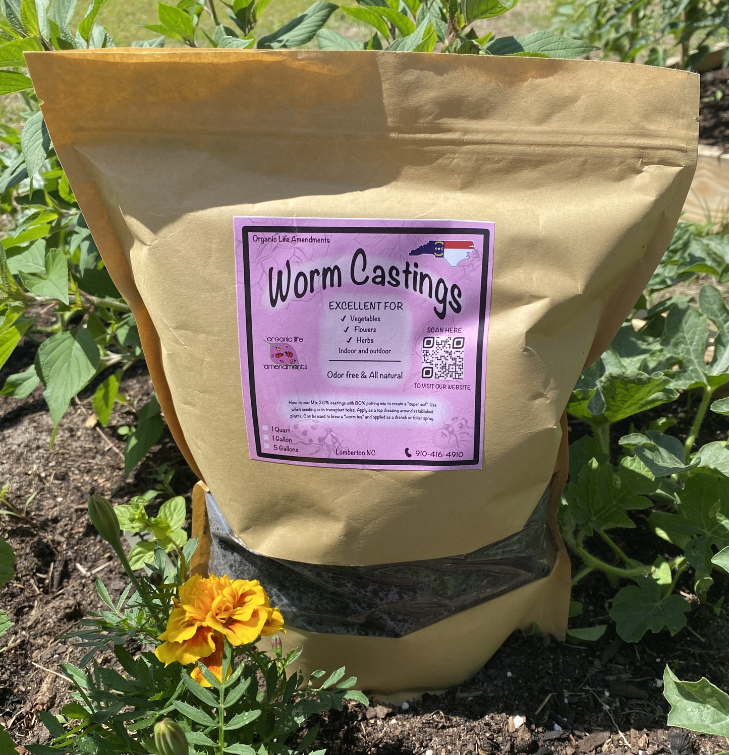 Worm Castings
