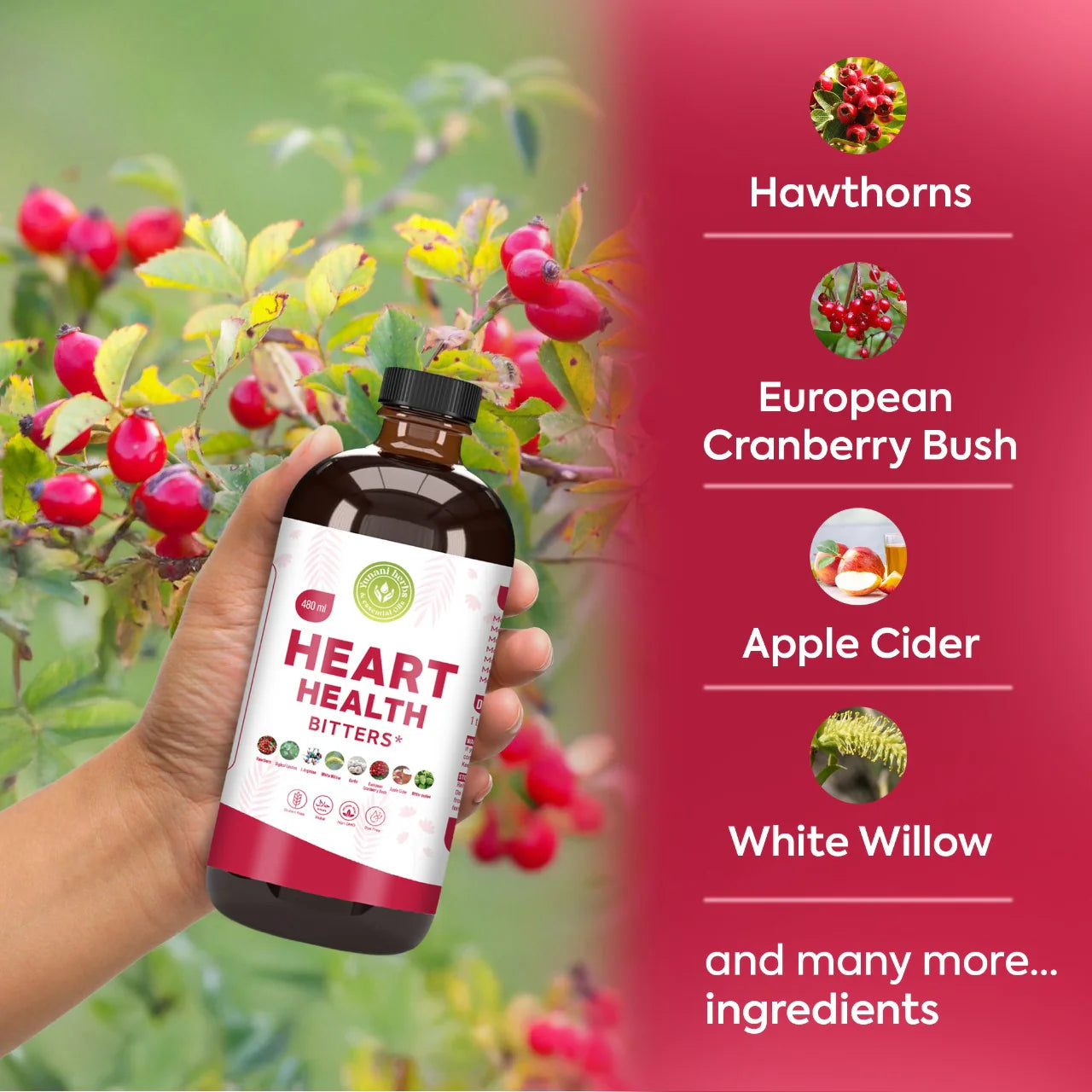 Heart Health Living Bitters - 16oz