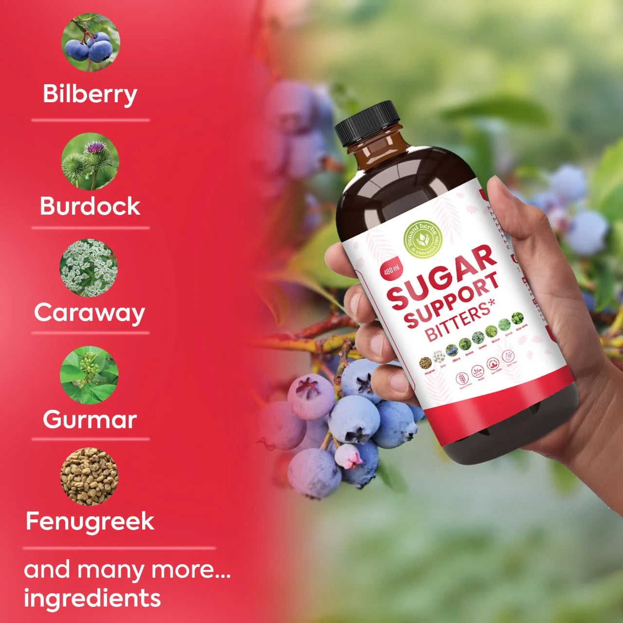 Sugar Support Living Bitters - 16oz