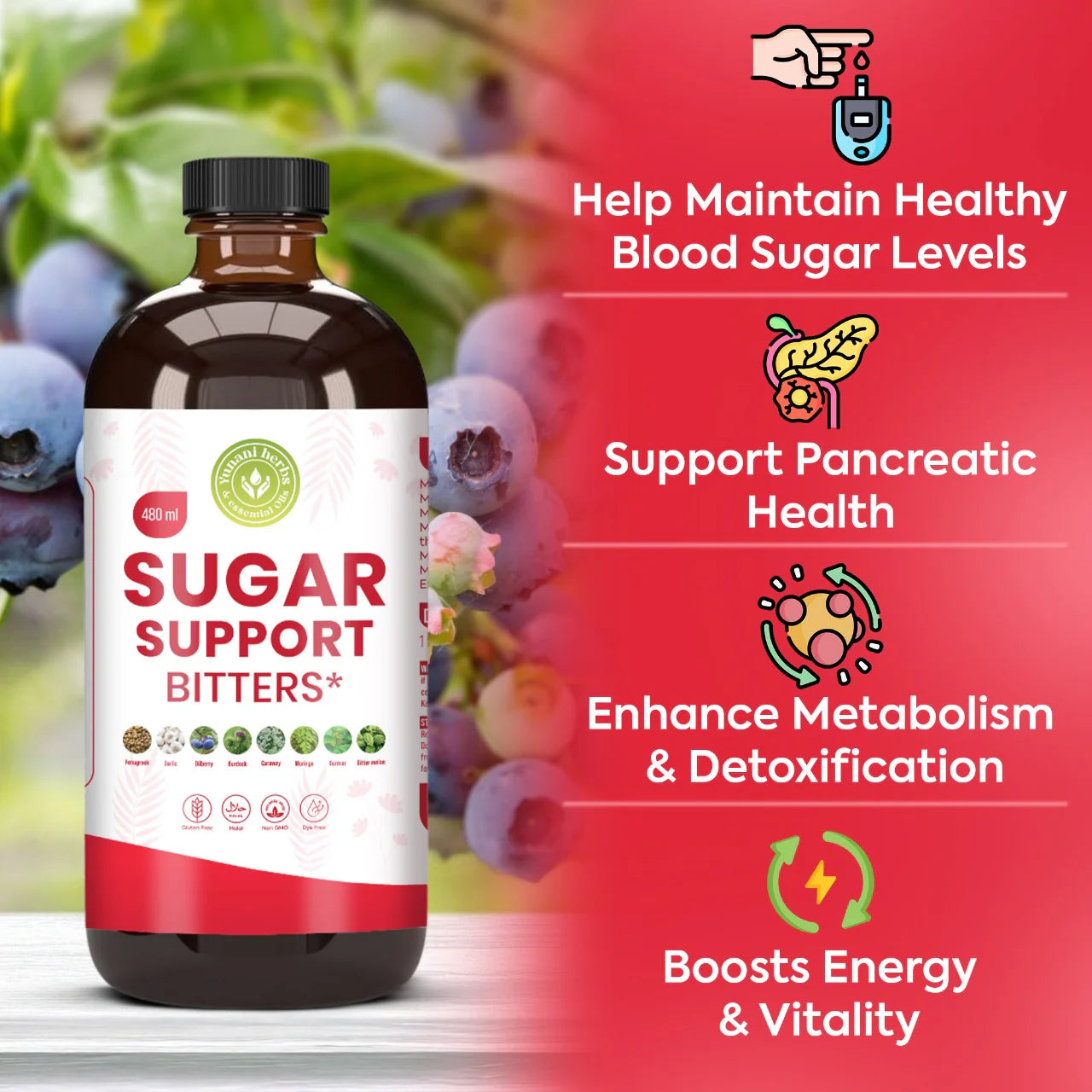 Sugar Support Living Bitters - 16oz